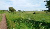 Randonnée Marche Allanche - Allanche - Maillargues Puy de Mathonière - 12.8km 320m 4h00 - 2019 06 25 - Photo 7