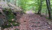 Trail Walking Aywaille - dieupart . embleve . thier bosset . kin . henoumont . vieux jardin . dieupart  - Photo 15