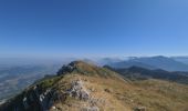 Trail Walking Saint-Pierre-de-Chartreuse - Grande Sure par les cols des vaches - Photo 1