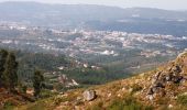 Percorso A piedi Soalhães - Pedras, Moinhos e Aromas de Santiago - Photo 10