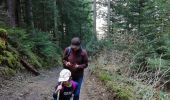 Trail Walking Autrans-Méaudre en Vercors - Le bois du Claret - Photo 1