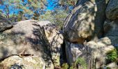 Tocht Stappen Fontainebleau - Sentier Denecourt 3 - Photo 14