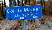 Tocht Stappen Vaugneray - col de Malval  - Photo 2