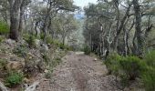 Trail Walking Maureillas-las-Illas - dolmen de la Siureda via tour Bel Ull - Photo 8