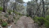 Tour Wandern Maureillas-las-Illas - dolmen de la Siureda via tour Bel Ull - Photo 8