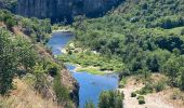 Trail Walking Berrias-et-Casteljau - Les gorges de Chassezac - Photo 4