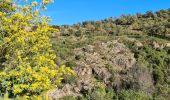 Tocht Stappen Sainte-Maxime - Sainte maxime - le couloubrier - Photo 9