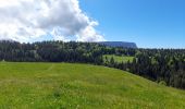 Tocht Stappen Montcel - MASSIF DES BAUGES: PLATEAU DU REVARD AUTOUR DE LA CROIX DES BERGERS - Photo 8