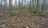 Randonnée Marche Fontainebleau - parcours des jonquilles - Photo 2