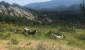 Trail Walking Establet - Establet  - Photo 1