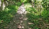 Trail Walking Boutigny-sur-Essonne - Boutigny-sur-Essonne  - Photo 7