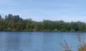 Tour Wandern Bütgenbach - A la découverte du Lac de Butgenbach - Photo 16