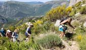 Trail Walking Castellane - Les cadières de Brandis - Photo 12