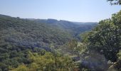 Tour Wandern Hohenfels - rando nadrin 10-09-2023 - Photo 5