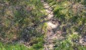 Trail Walking Champforgeuil - Champforgeuil etang Prin - Photo 1