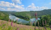 Tour Wandern Bauschleiden - 2023-06-19_14h57m44_eislek-pad-boulaide-1 - Photo 16