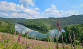 Randonnée Marche Boulaide - Eislek-pad-Boulaide - Photo 16