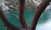 Trail Walking Quinson - verdon basse gorge via ravin ste marguerite et chapelle ste marguerite  - Photo 2