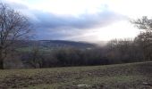 Trail Walking Aywaille - remouchamps aywaille aller via ambleve retour via heid des gattes - carrière goiveux - Photo 8