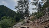 Tour Wandern Weismes - robertville . barrage . nez de napoléon.  reinhardstein . barrage . pont . robertville - Photo 9