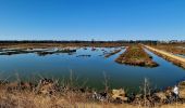 Tour Wandern Barbâtre - Jeun et Rando J5 - Passage du gois et réserve naturelle - Photo 9