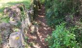 Excursión Senderismo Sant Ferriol - besaliu 190724 - Photo 6