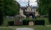 Randonnée Marche Mesnil-en-Ouche - Beaumesnil  - Photo 4