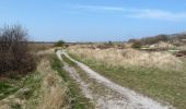 Tour Zu Fuß Terschelling - Doodemanskisten en Seinpaalduin - Photo 8