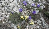 Tour Wandern Pourrières - Mt Olympe et le pas du Titet - Photo 6