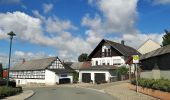 Tour Zu Fuß Zeulenroda-Triebes - Rundweg Zeulenrodaer Meer - Photo 6