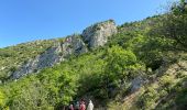 Tocht Stappen Venterol - Col de Pause  - Photo 1