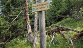 Trail Walking Chamonix-Mont-Blanc - Buvette du Chapeau et Tête des Prapators 1844m - Photo 1