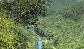 Tour Wandern Hohenfels - Ollômont - Photo 20