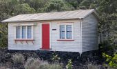 Randonnée A pied Waiheke - Rangitoto Coastal Walk - Photo 7