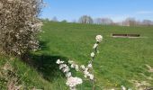 Tocht Stappen Mont-Saint-Guibert - dans les champs et le long de l'orne. - Photo 5