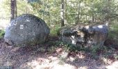 Tour Wandern Lieutadès - Les Mazes - Lieutadès - Photo 11