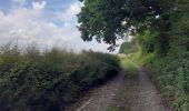 Trail Walking Tinlot - Ramelot  - Photo 1