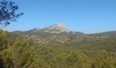 Trail Walking Aix-en-Provence - Les 3 bons dieux Bibemus - Photo 1