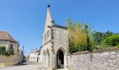 Tocht Stappen Château-Landon - Promenade à Château Landon et ses alentours - Photo 7