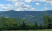 Tocht Stappen Basse-sur-le-Rupt - petit circuit sous Burotte - Photo 2