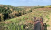 Trail Horseback riding Neufchâteau - Quadrillage du bois d’Ospau - Photo 2