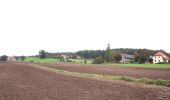 Tour Zu Fuß Lichtenfels - Rundweg Schifferbrunnen-Aßlitz - Photo 9