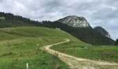 Trail Walking Bellecombe-en-Bauges - Le Mont Crêt du Char Col de Frasse - Photo 7