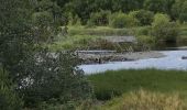 Tour Wandern Murat - les estives et tourbière de Chastel sur Murat - Photo 12