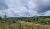 Tocht Stappen Gedinne - rando croix scaille 8-08-2023 - Photo 2