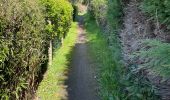 Excursión Senderismo Chaumont-Gistoux - BE-Chaumont-Gistoux - Le Bercuit par Dion-le-Val - blog le bruant wallon - Photo 2