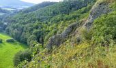 Trail On foot Meißner - Premiumweg P 23 Höllental - Photo 6