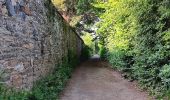 Trail Walking Spa - artistes . nelis . geronster . meyerber . artistes  - Photo 3