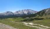 Excursión Senderismo Cortina d'Ampezzo - Lago Grande Fosse & rifugio Biella - Photo 14