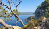 Percorso Marcia Bandol - Bandol - St Cyr par le sentier du littoral - Photo 5